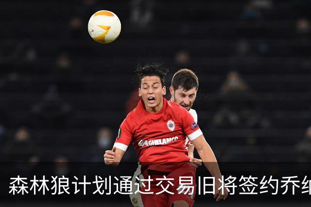 森林狼计划通过交易旧将签约乔纳森·库明加